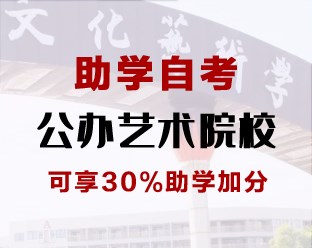 助学自考—公办艺术院校